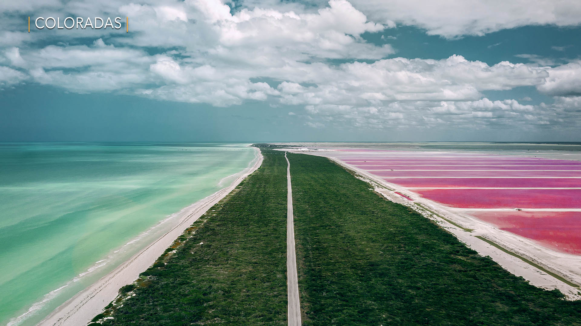 coloradas