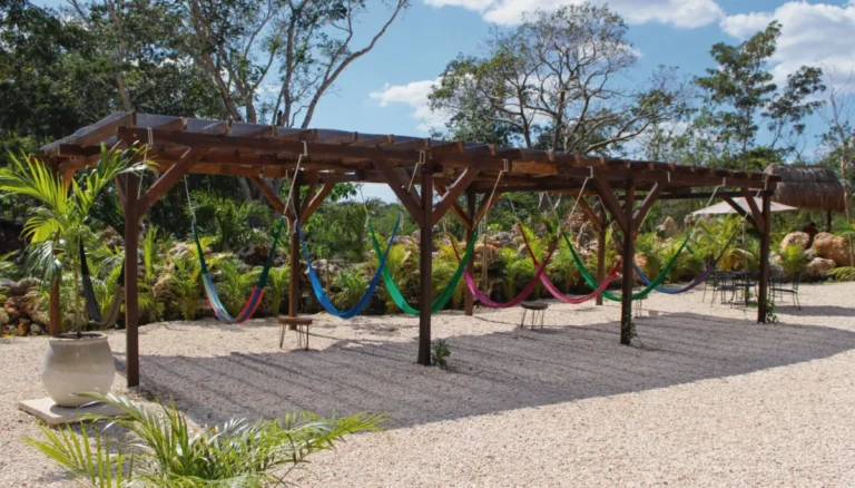 Galeria tour de cenotes 2